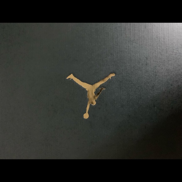 Jordan Reveal “Metallic Silver” - Picture 6 of 8